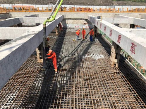 好消息一个接一个,和每个普陀人有关