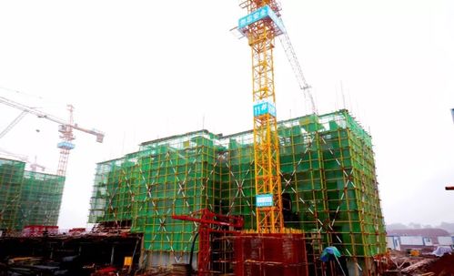 壹号家书丨北风促急,江湾工程加速赶进