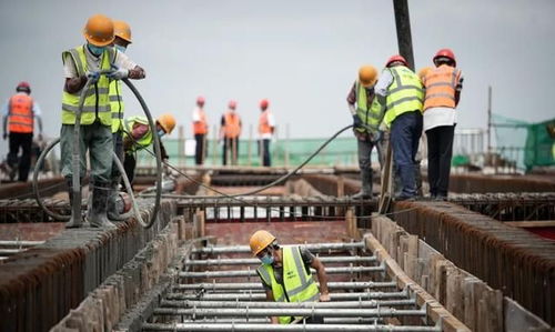 武大高速公路又有新进展,未来建成后武汉至大悟车程缩短至一小时