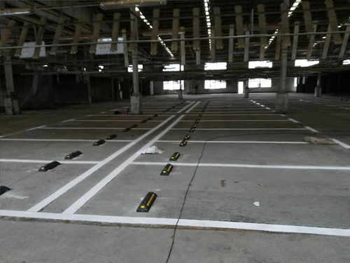 东莞市凤岗绿道划线工程队 本地实力公司